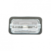 License Lamp